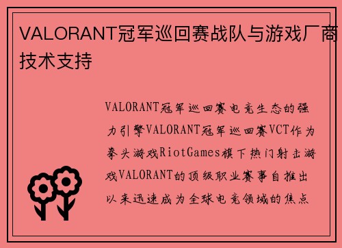 VALORANT冠军巡回赛战队与游戏厂商技术支持