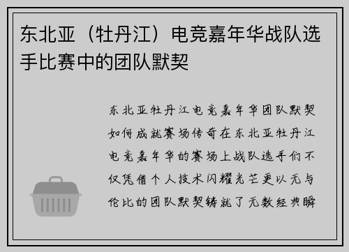 东北亚（牡丹江）电竞嘉年华战队选手比赛中的团队默契
