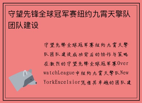 守望先锋全球冠军赛纽约九霄天擎队团队建设