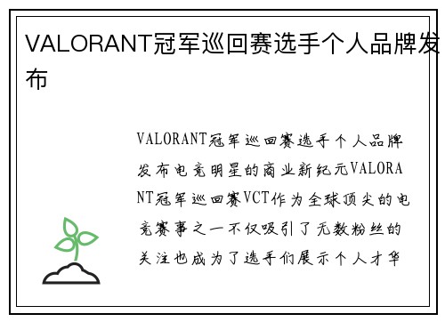 VALORANT冠军巡回赛选手个人品牌发布