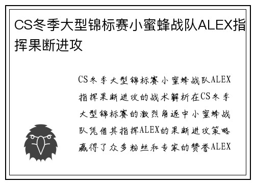 CS冬季大型锦标赛小蜜蜂战队ALEX指挥果断进攻